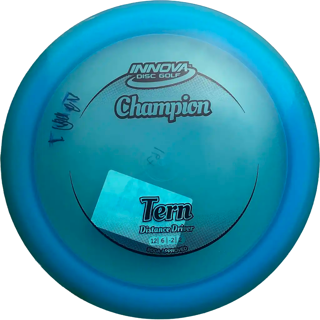 Champion Tern