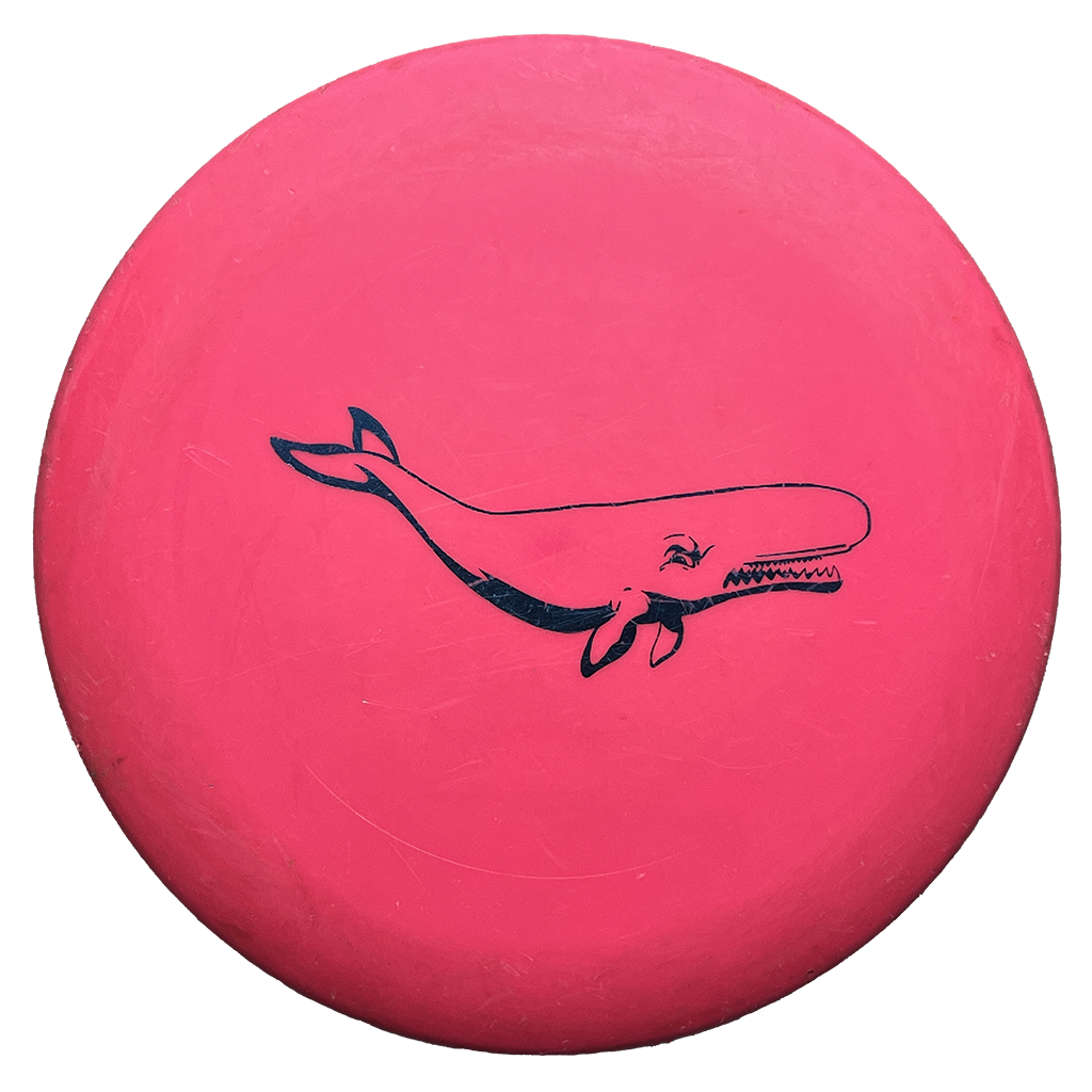 Innova DX Whale