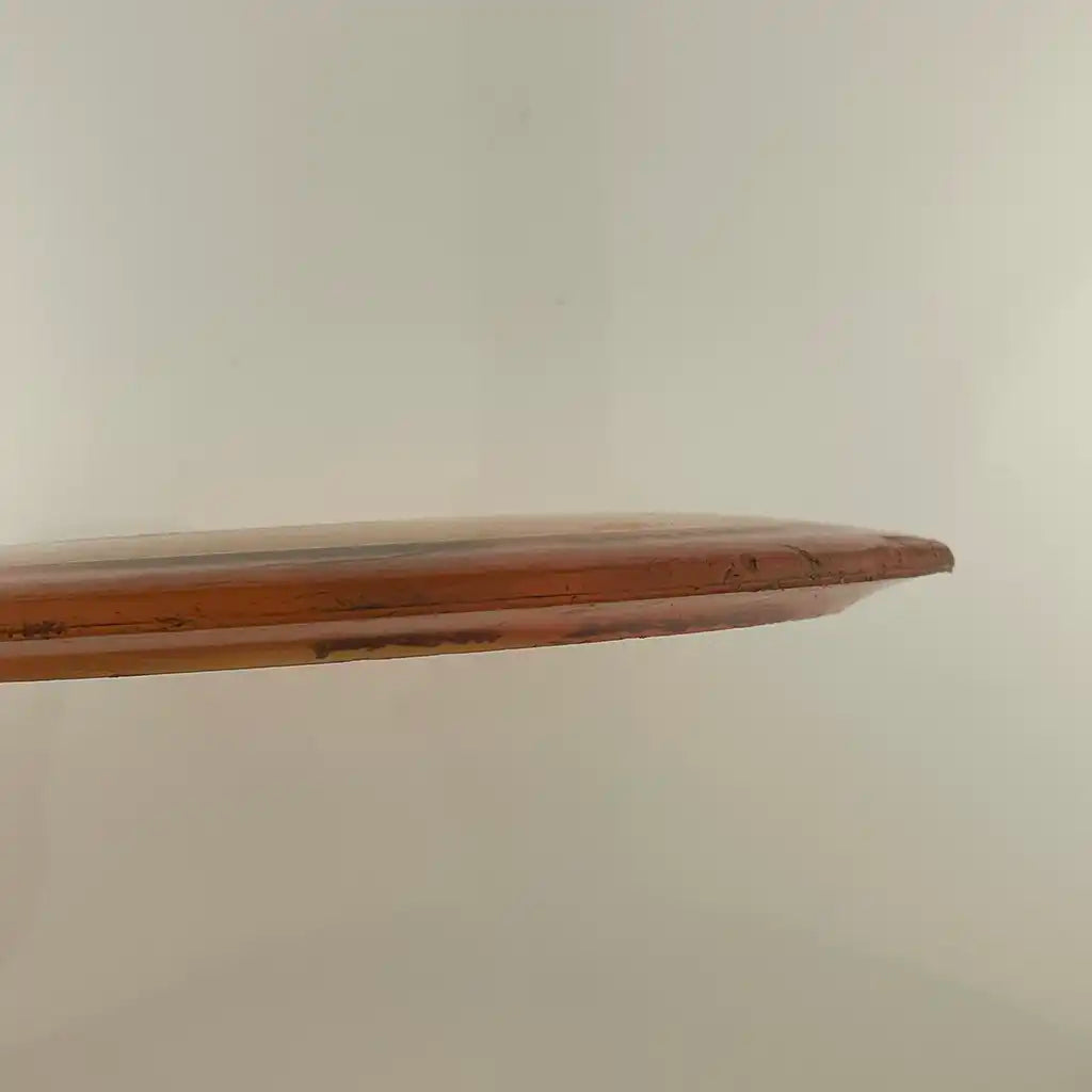 Champion Thunderbird