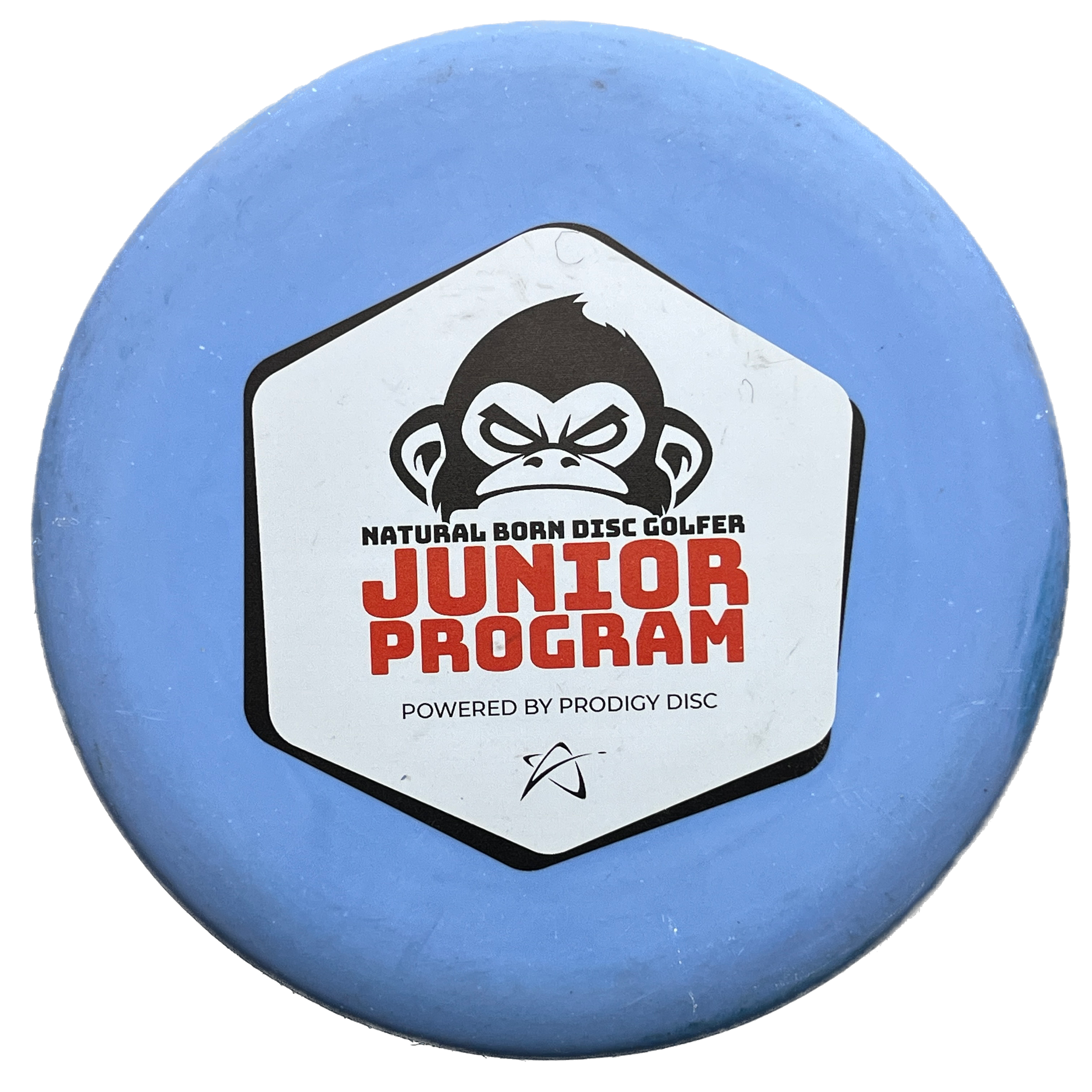 300 Pa3 - Natural Born Disc Golfer Junior Program