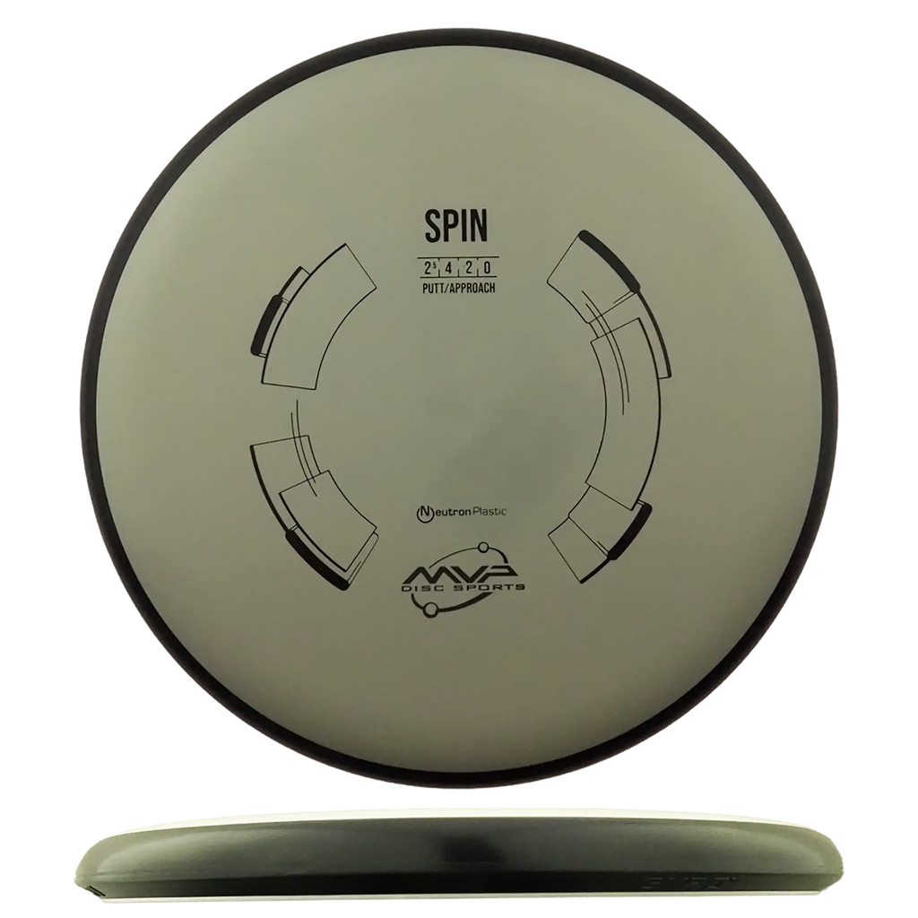 Neutron Spin