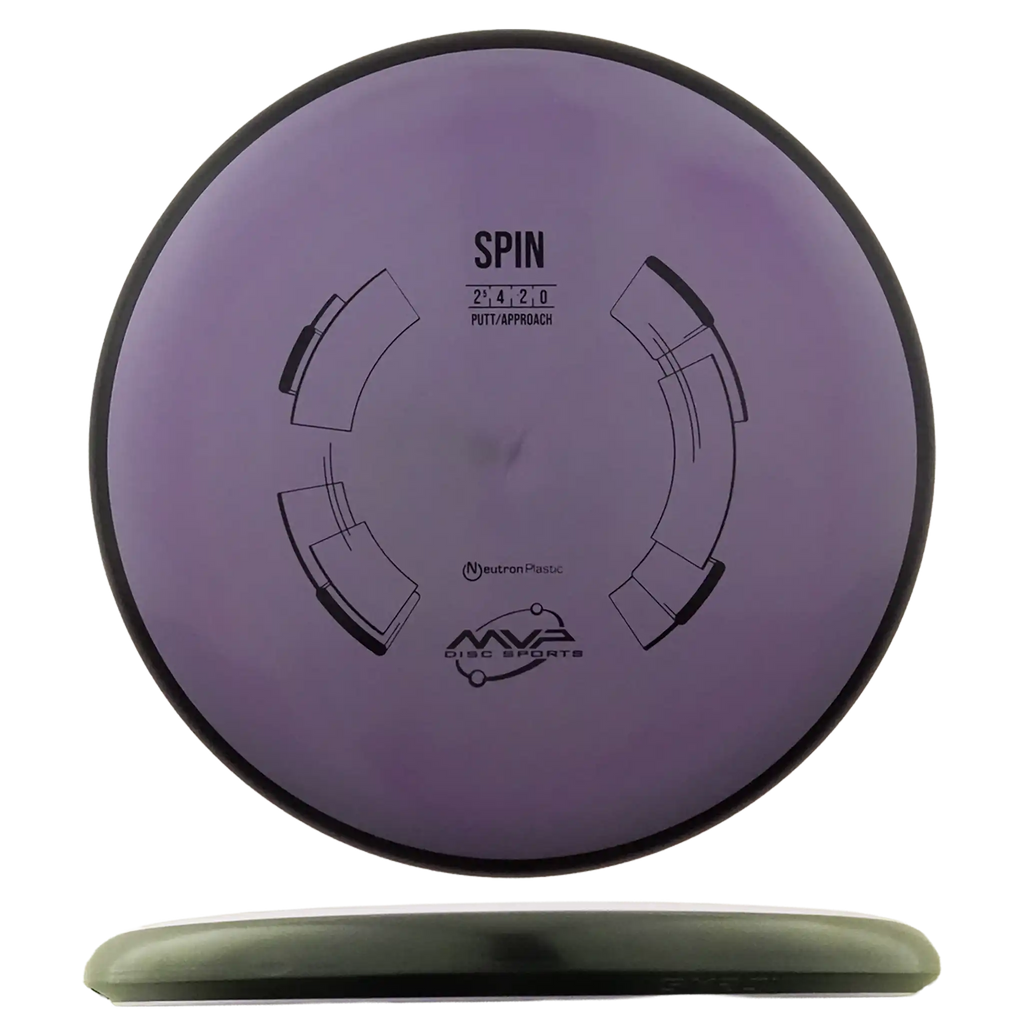 Neutron Spin