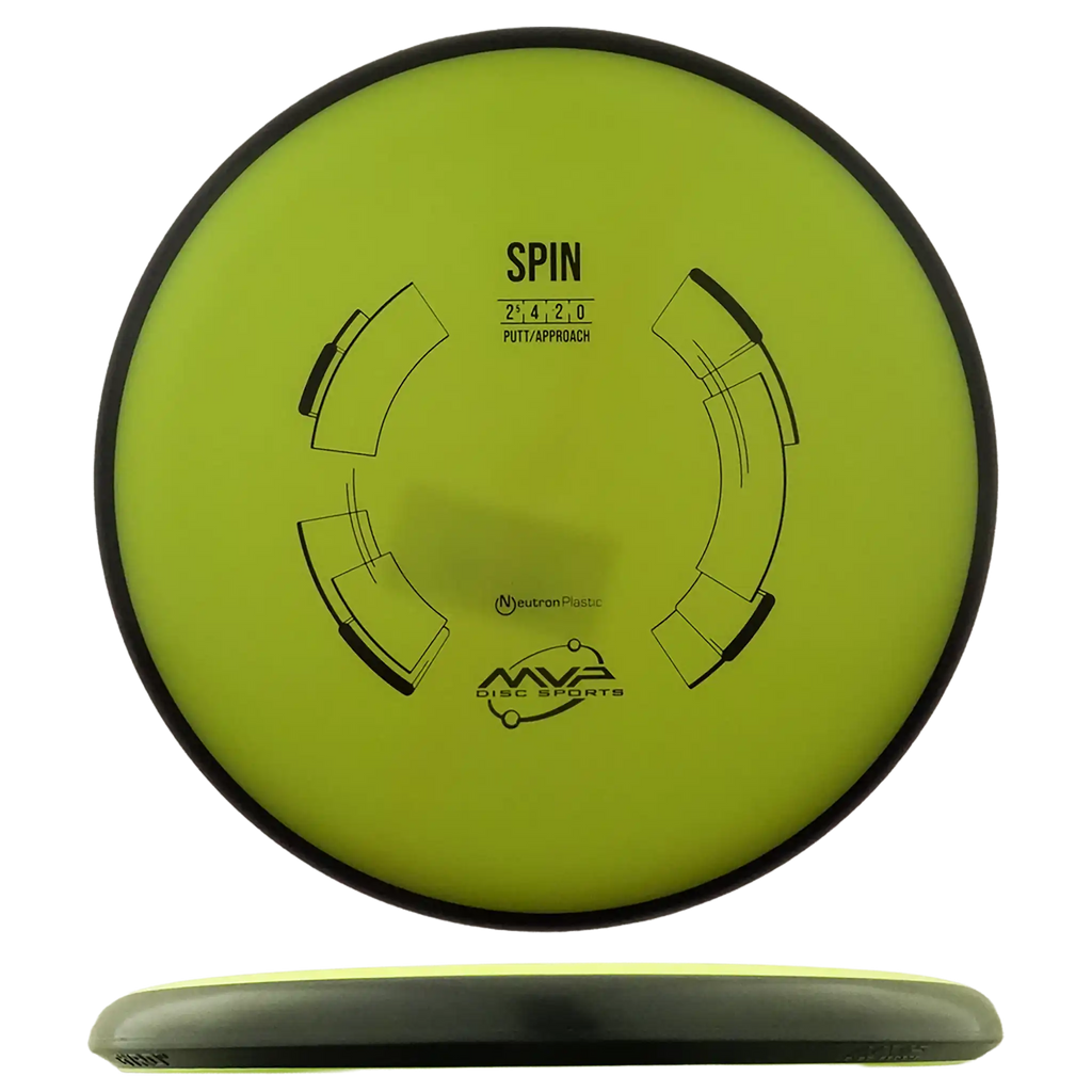 Neutron Spin