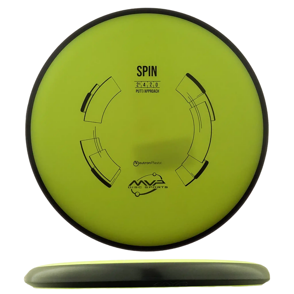 Neutron Spin