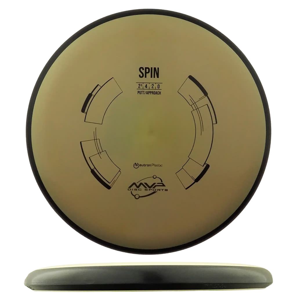 Neutron Spin