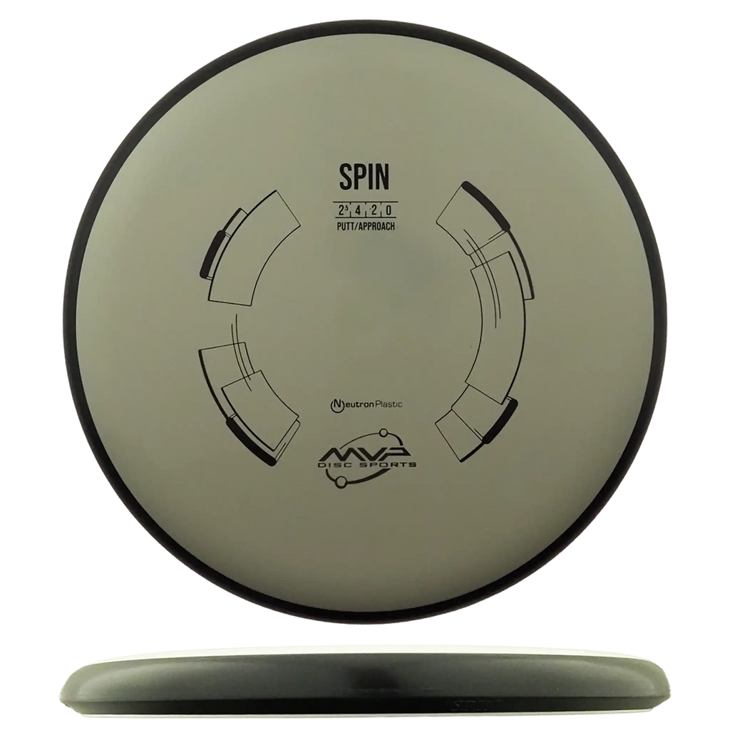 Neutron Spin