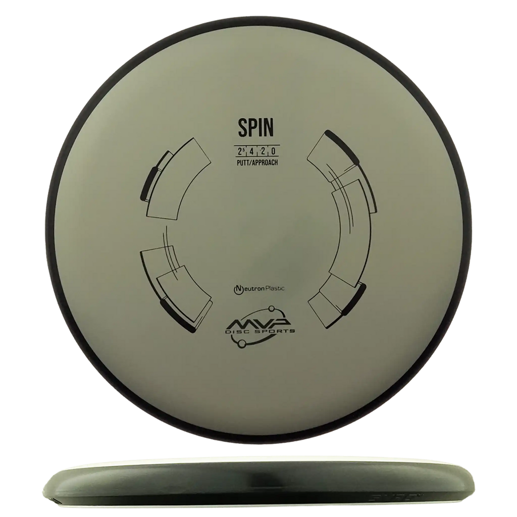 Neutron Spin