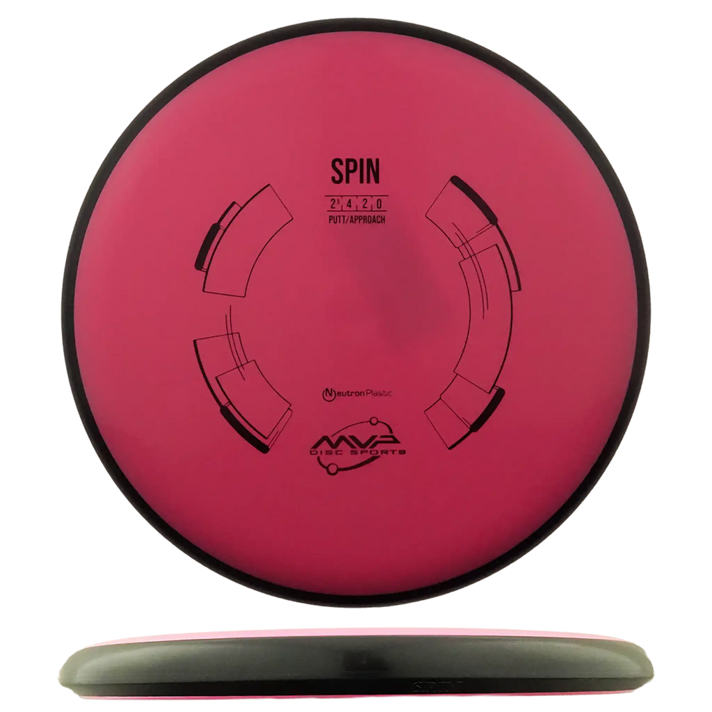 Neutron Spin