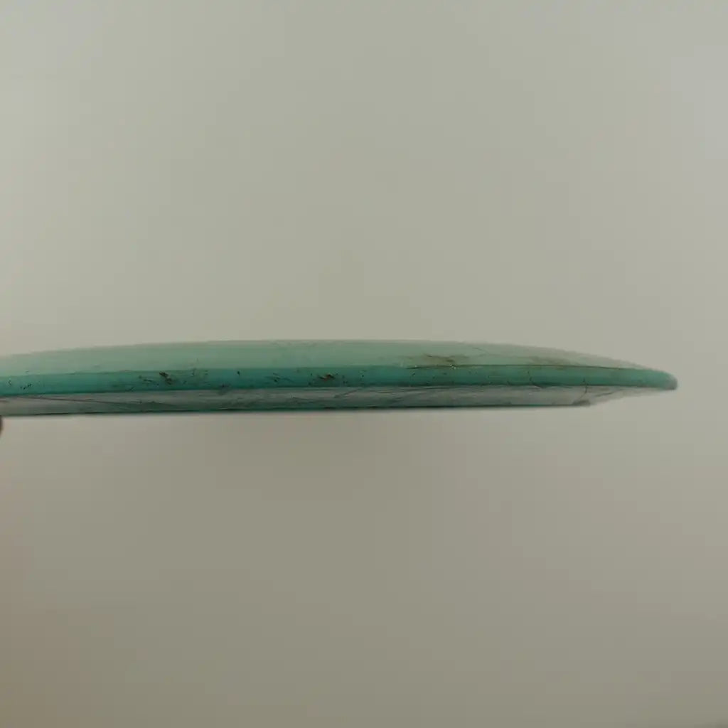 Luster Champion Shryke - Eveliina Salonen 2018 Konopiste Open FPO Champion