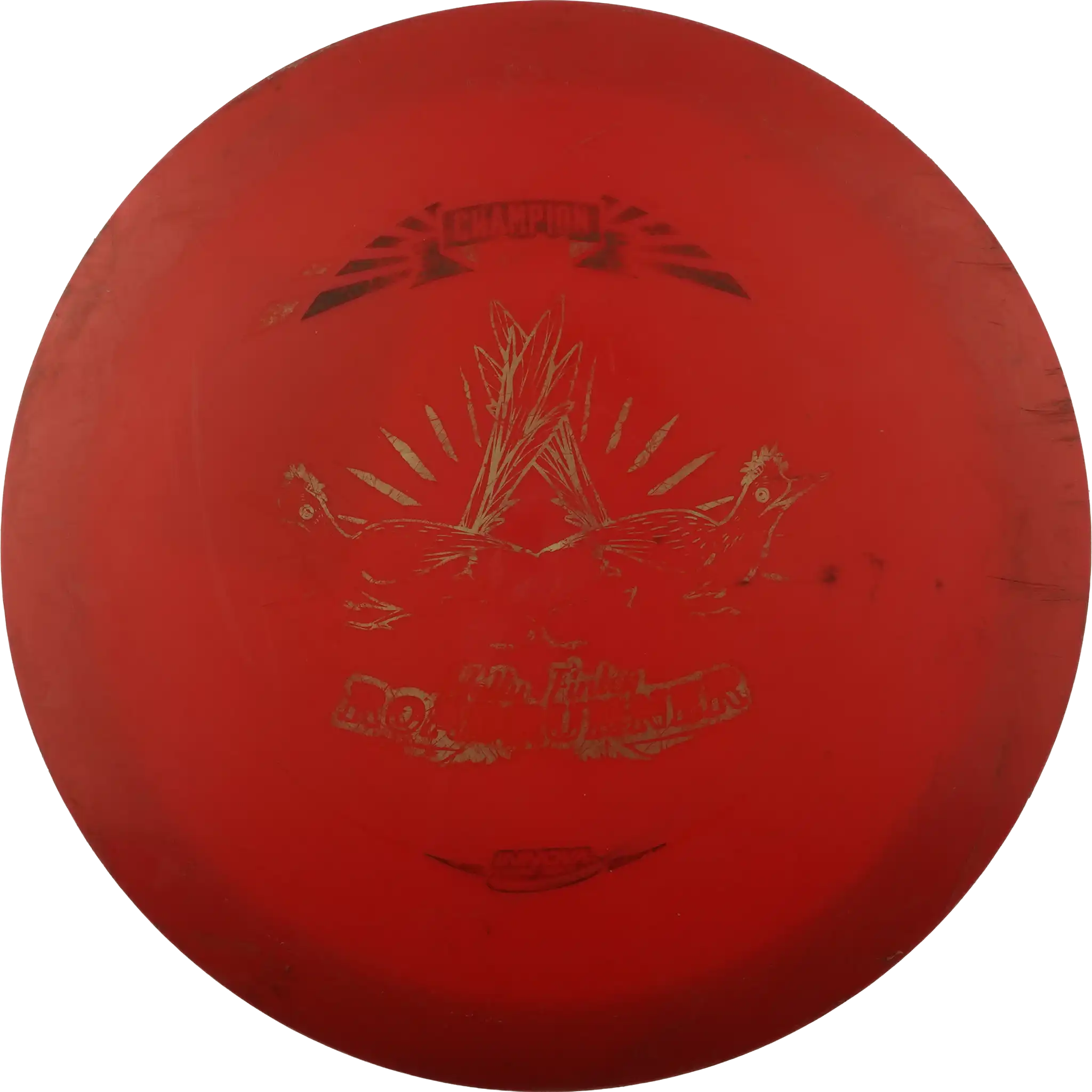 Star Roadrunner - Holly Finley