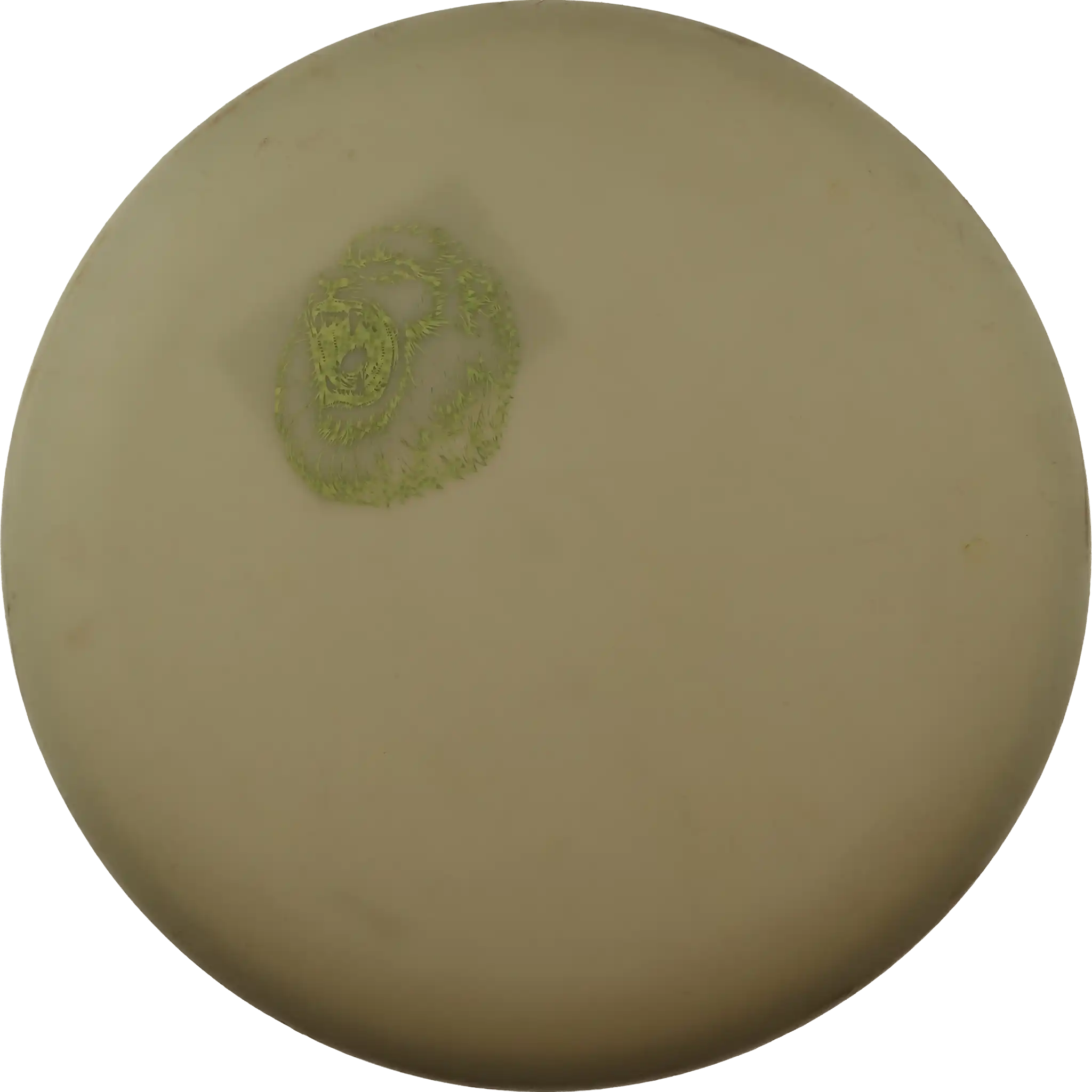 D-Line P2 - European Open