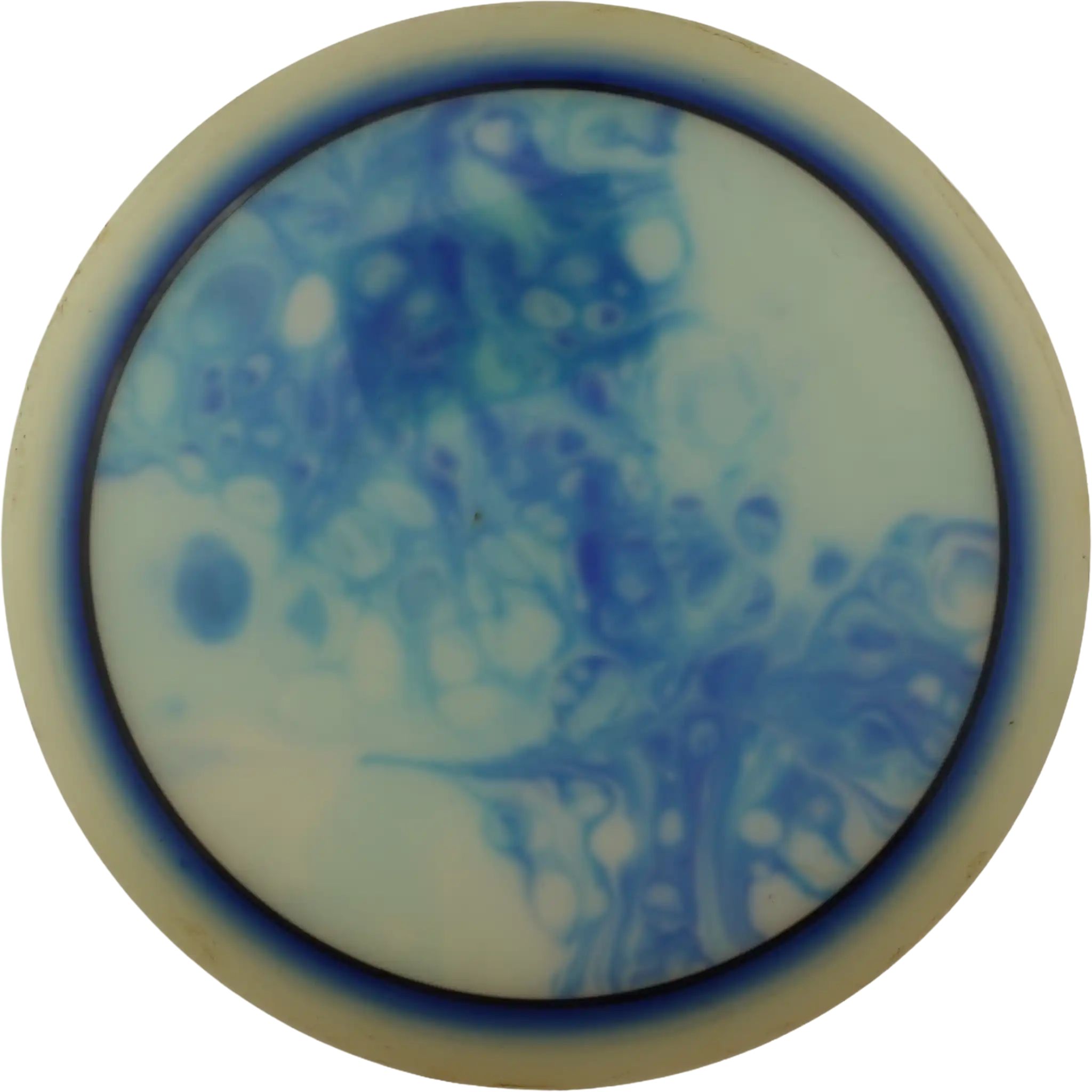 C-Line FD1 - Tuomas Hyytiäinen