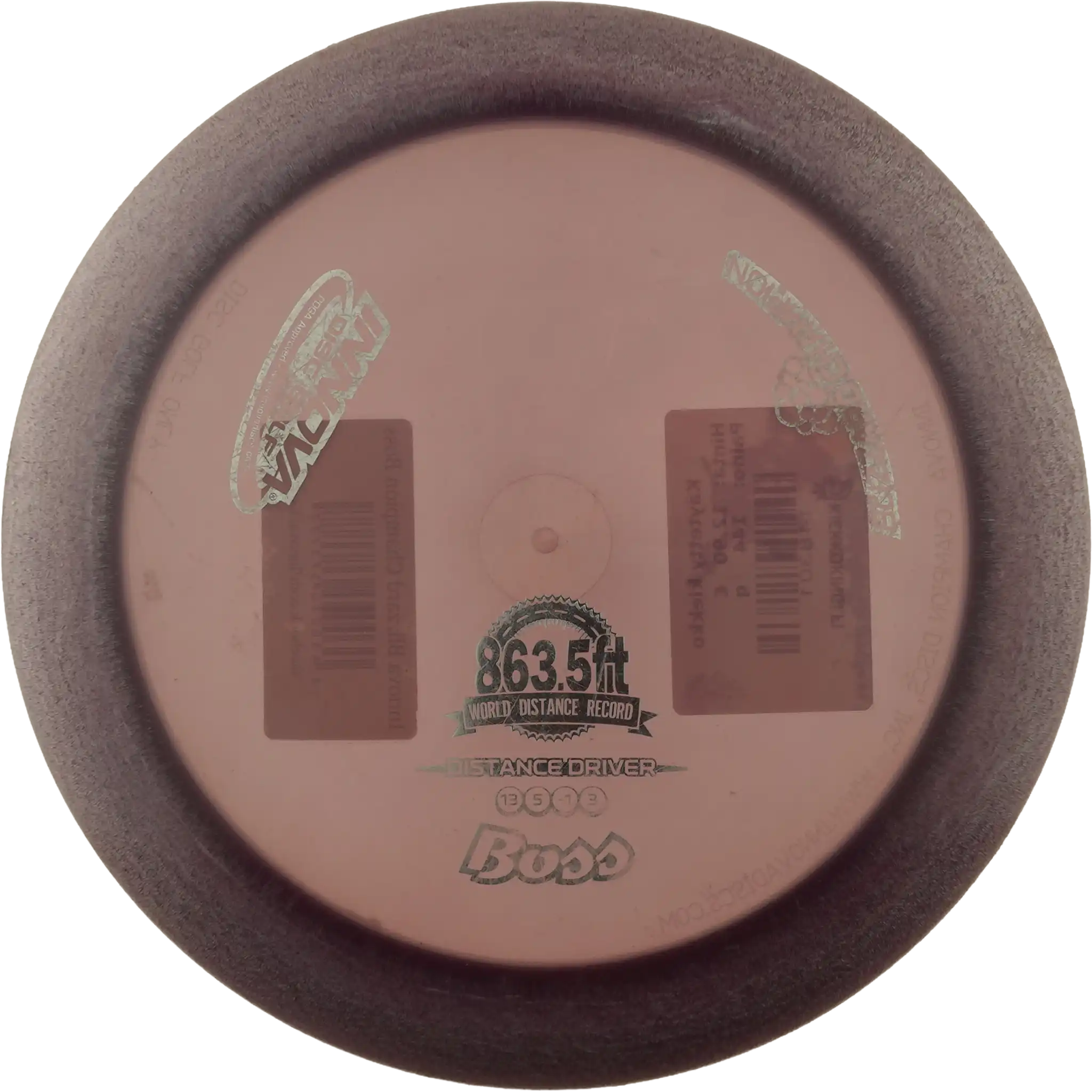 Blizzard Champion Boss