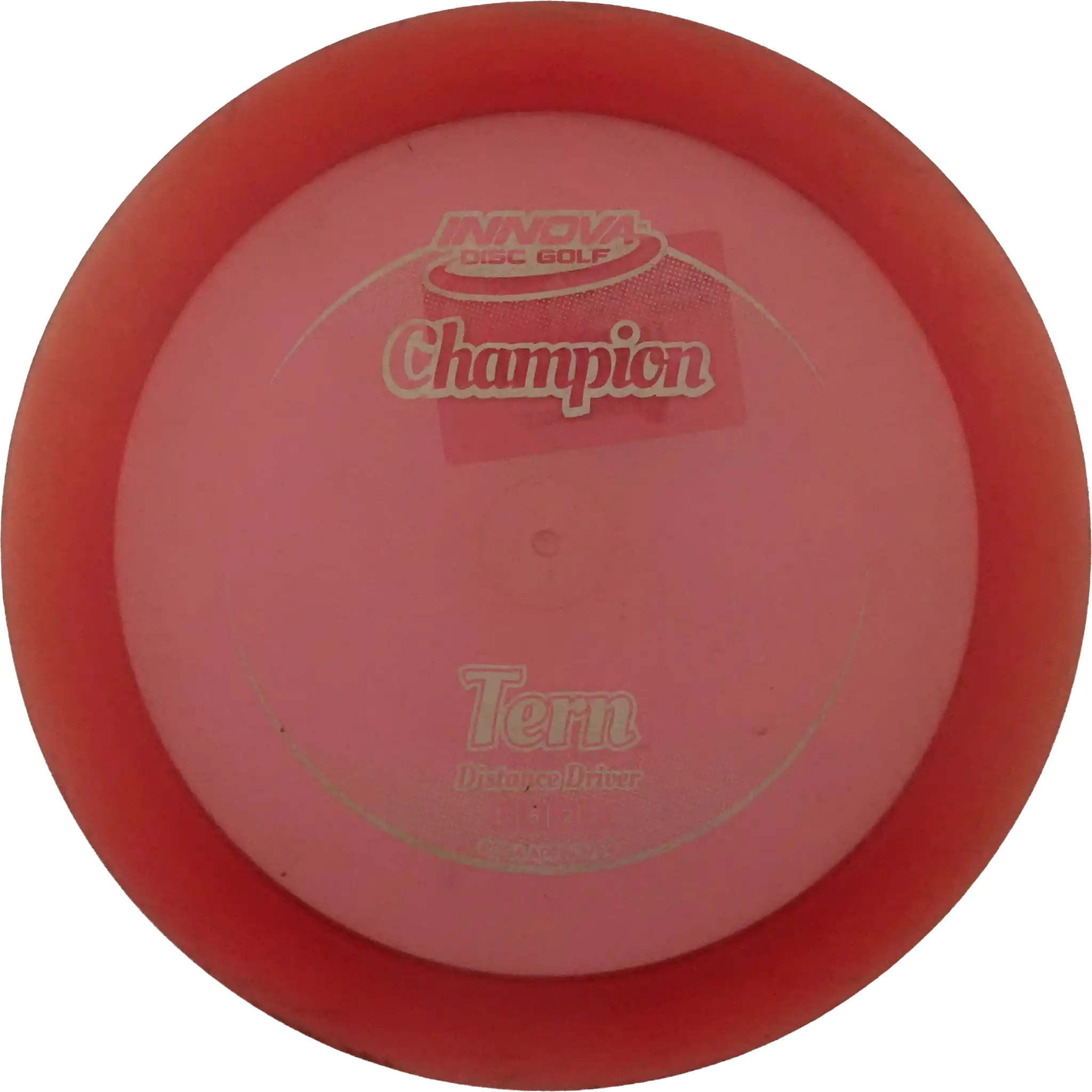 Champion Tern