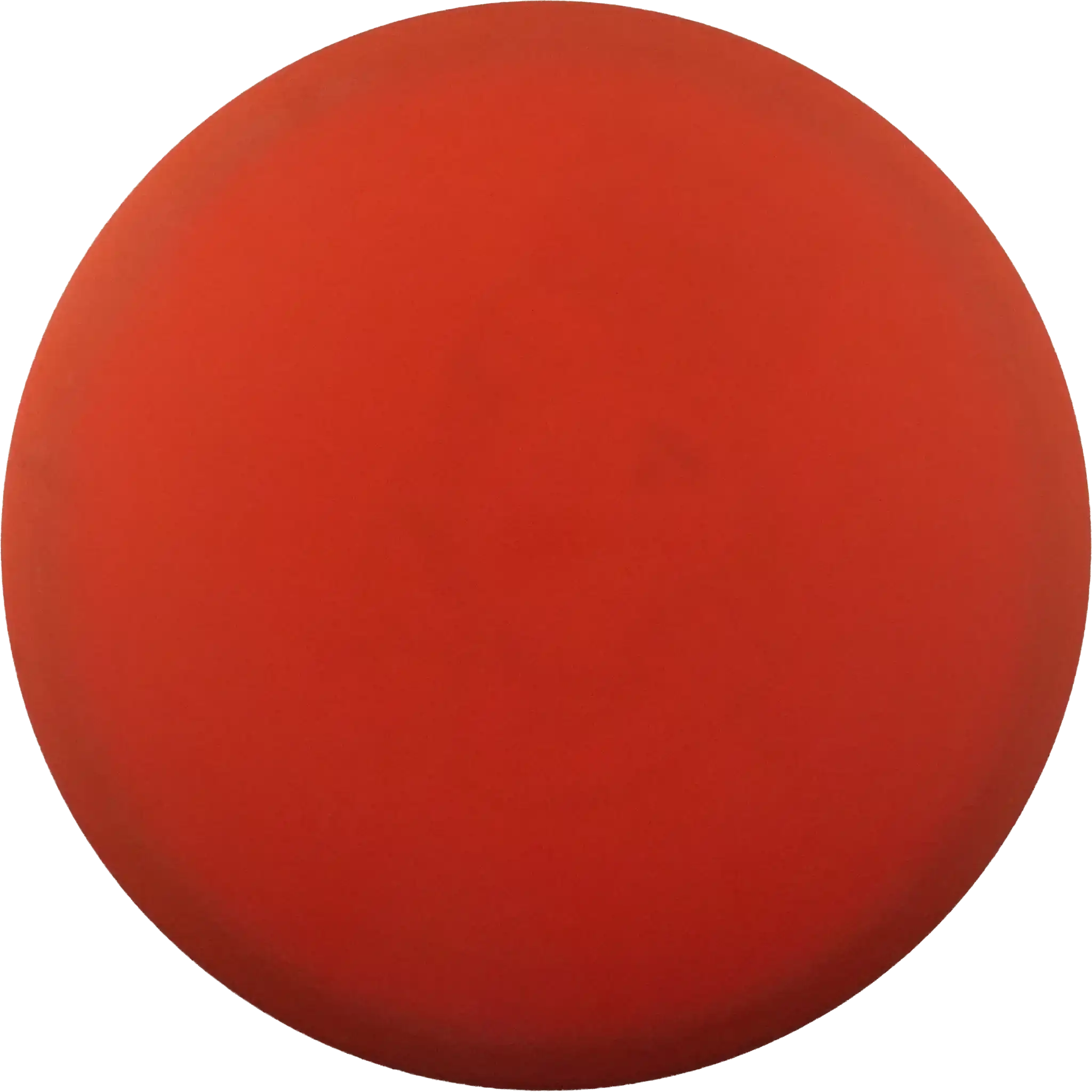 Pro Roc - Bottom Stamp