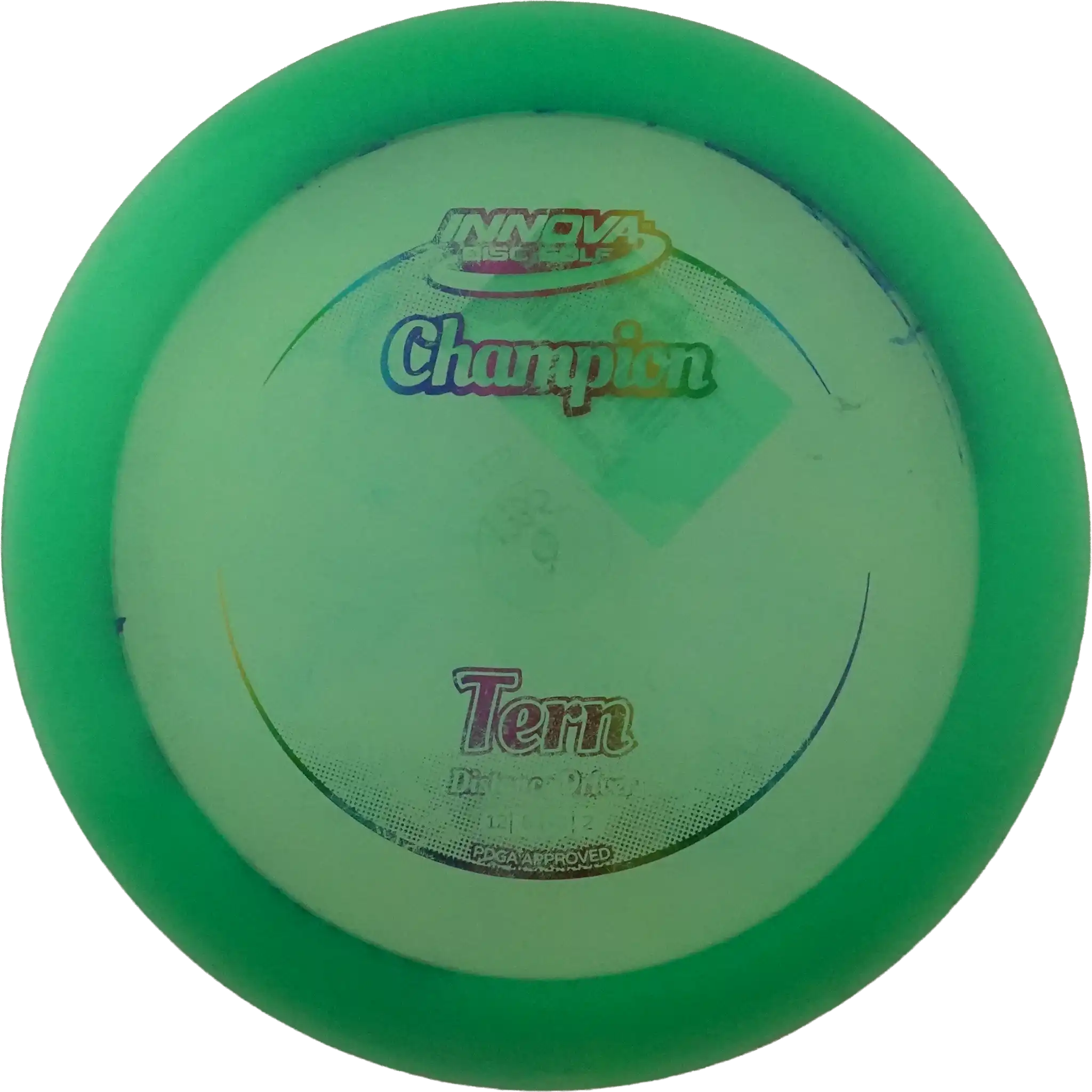 Champion Tern