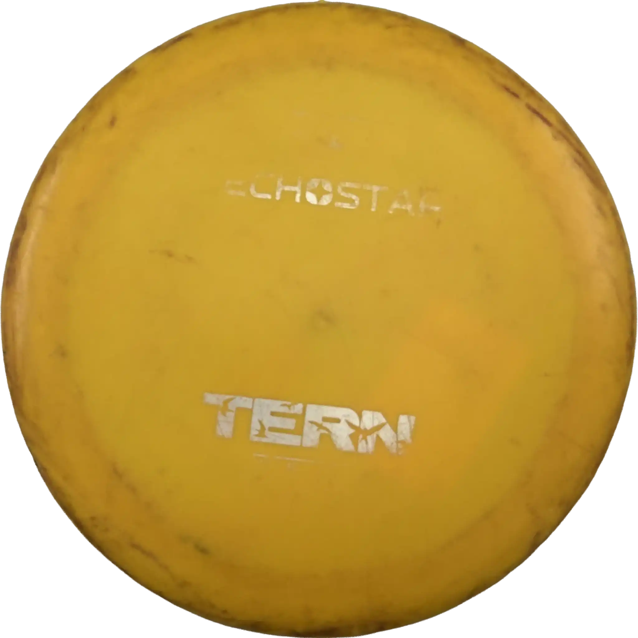 Echo Star Tern
