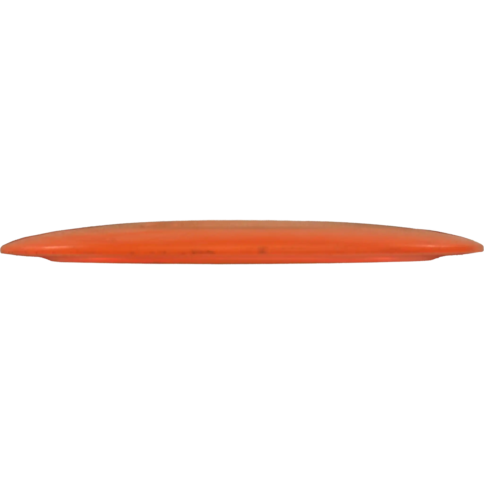 Champion Tern