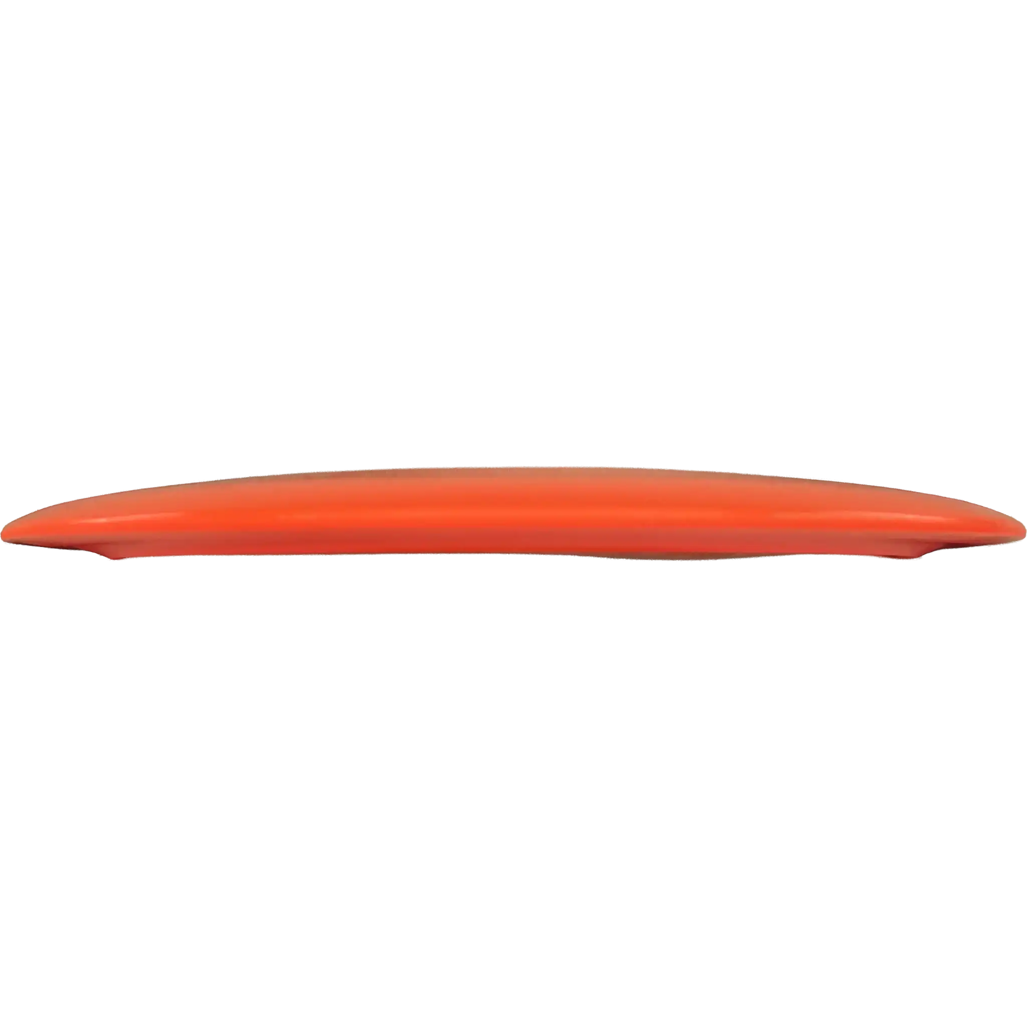 Champion Tern