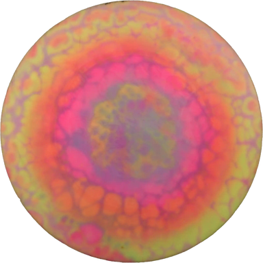 Glow Star Eagle - Gregg Barsby Tour Series - Dyed