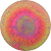 Glow Star Eagle - Gregg Barsby Tour Series - Dyed