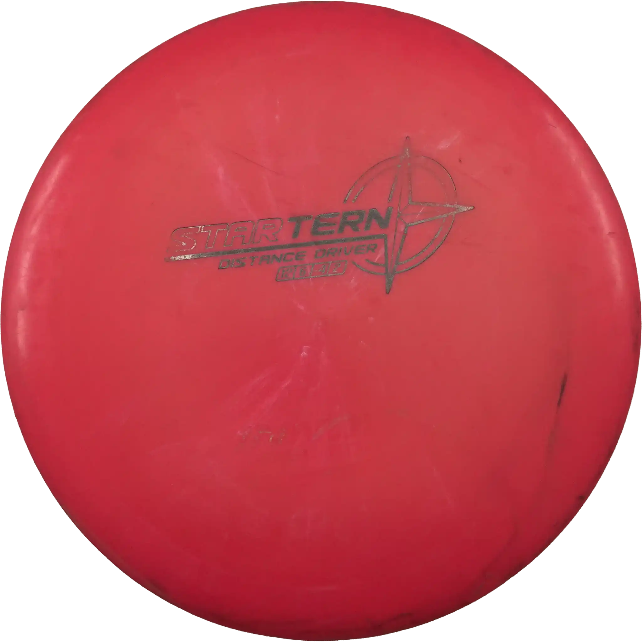 Star Tern