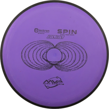 Electron Spin