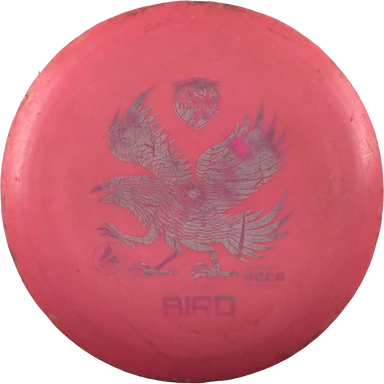Active Sun Bird