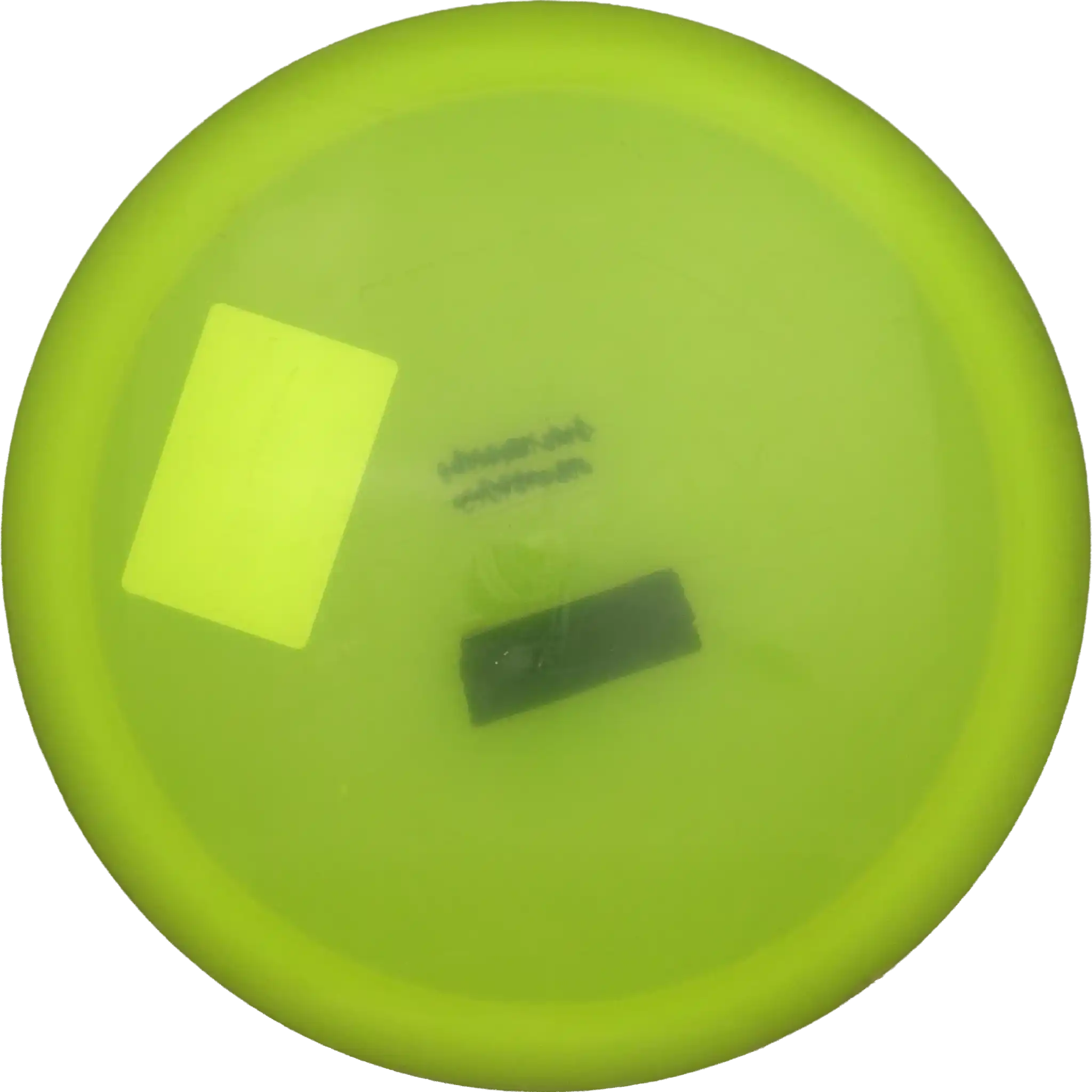 Opto Explorer - Ricky Wysocki - 2x World Champion