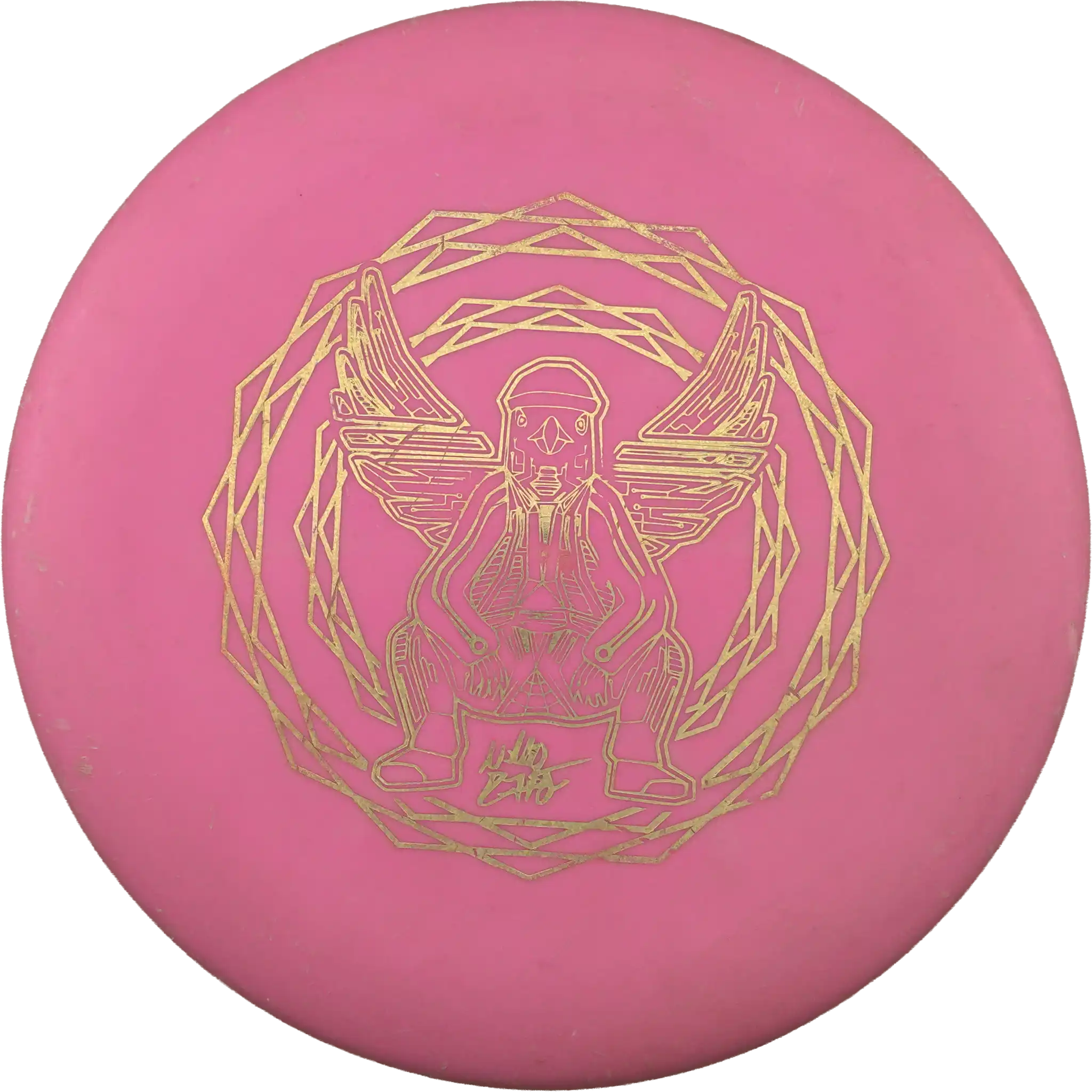 Flex 2 D-Line P2