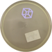 C-Line MD3 - Mystery Box