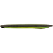 Proton Photon