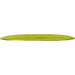 Champion Tern