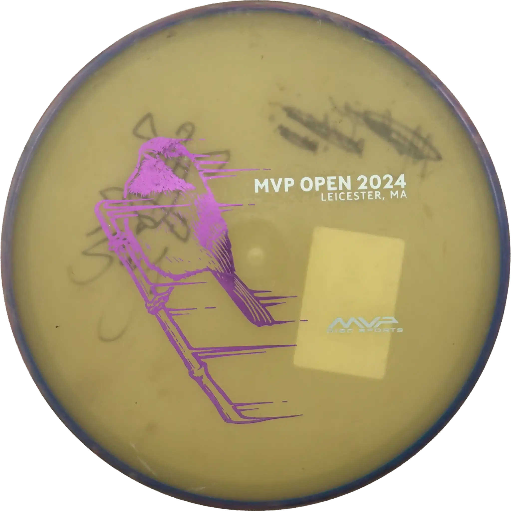 Eclipse Glow Tempo - MVP Open