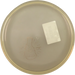 Eclipse Pixel - Lab Second