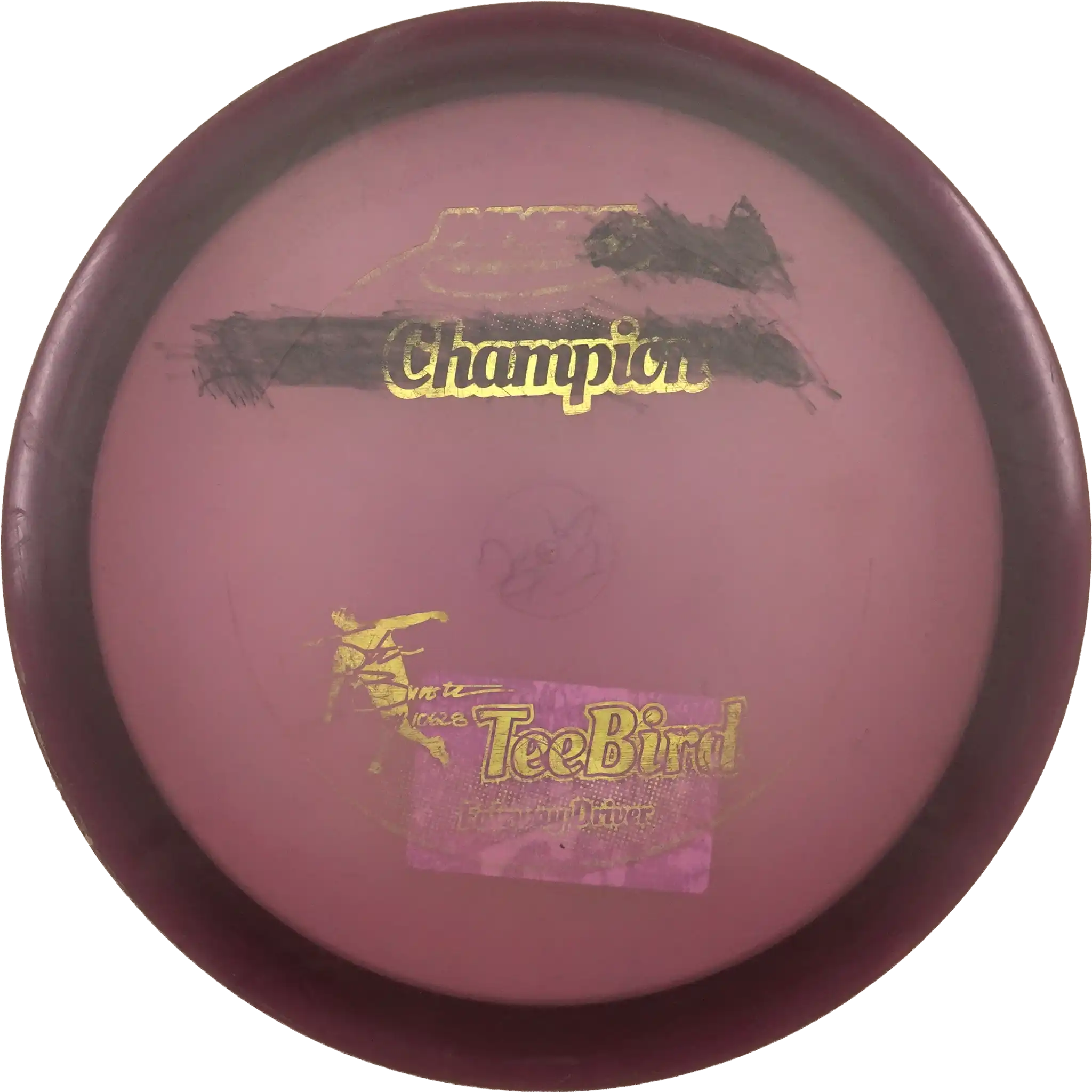 Champion Teebird - Steve Brinster