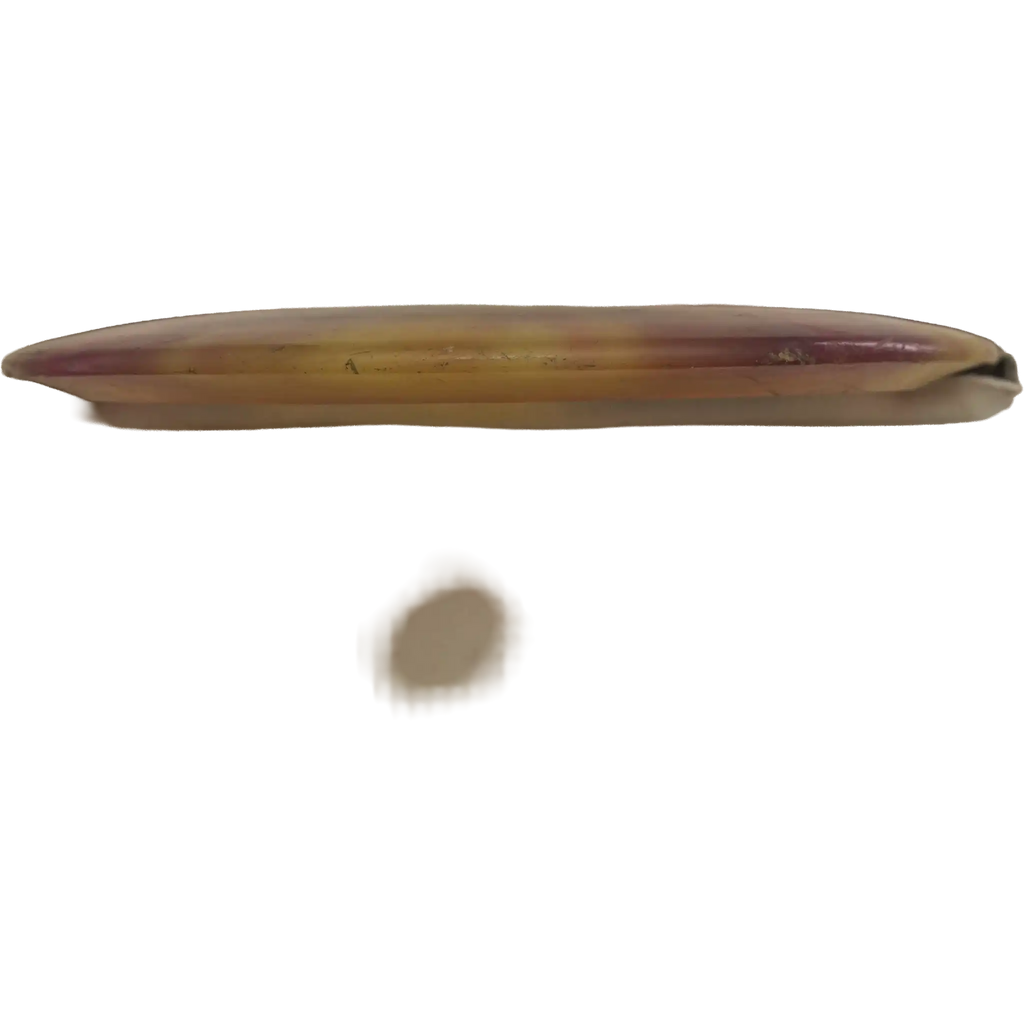 Champion Teebird - Dyed - Ken Climo - 11x World Champion