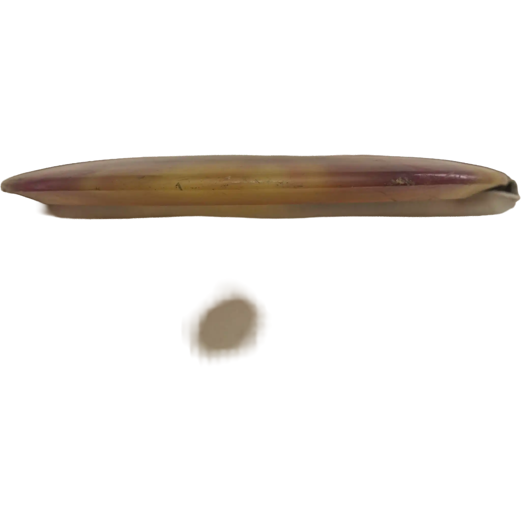 Champion Teebird - Dyed - Ken Climo - 11x World Champion