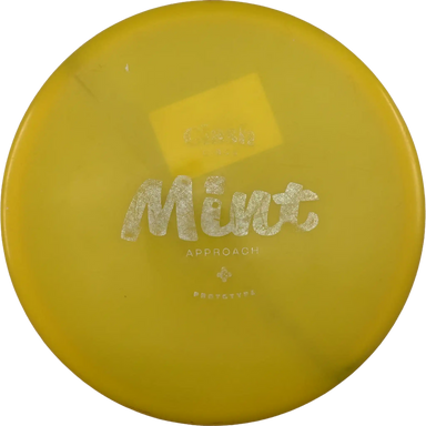 Steady Mint - Prototype