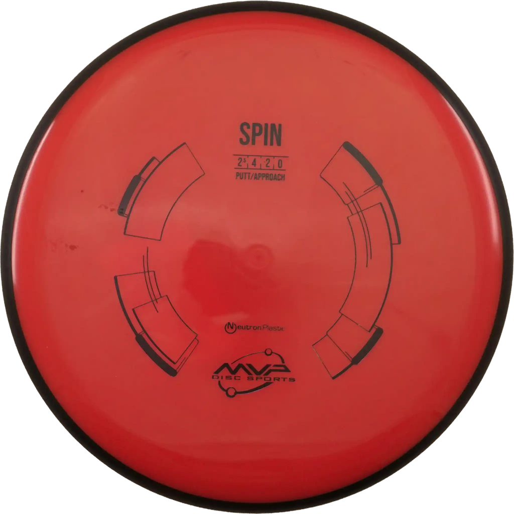 Neutron Spin