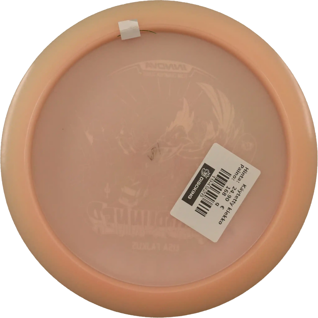 Color Glow Champion Roadrunner - Lisa Fajkus