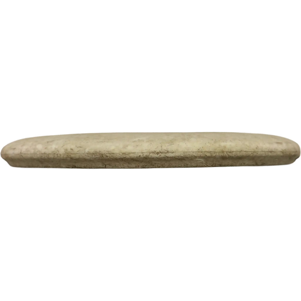 BT Medium Swan 2