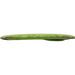 S-Line DDx