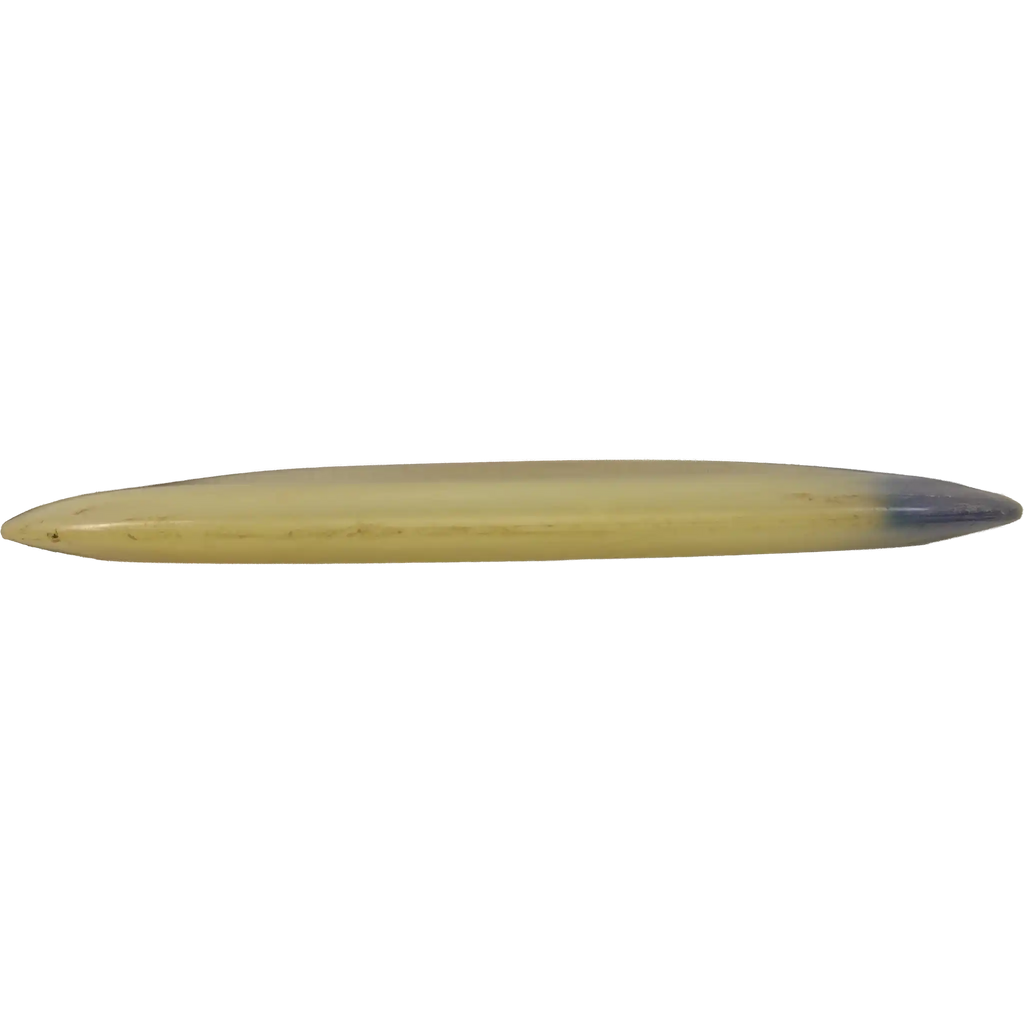 Champion Roadrunner - PFN