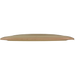 Champion Tern