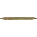 Champion Tern
