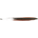 Neutron Impulse