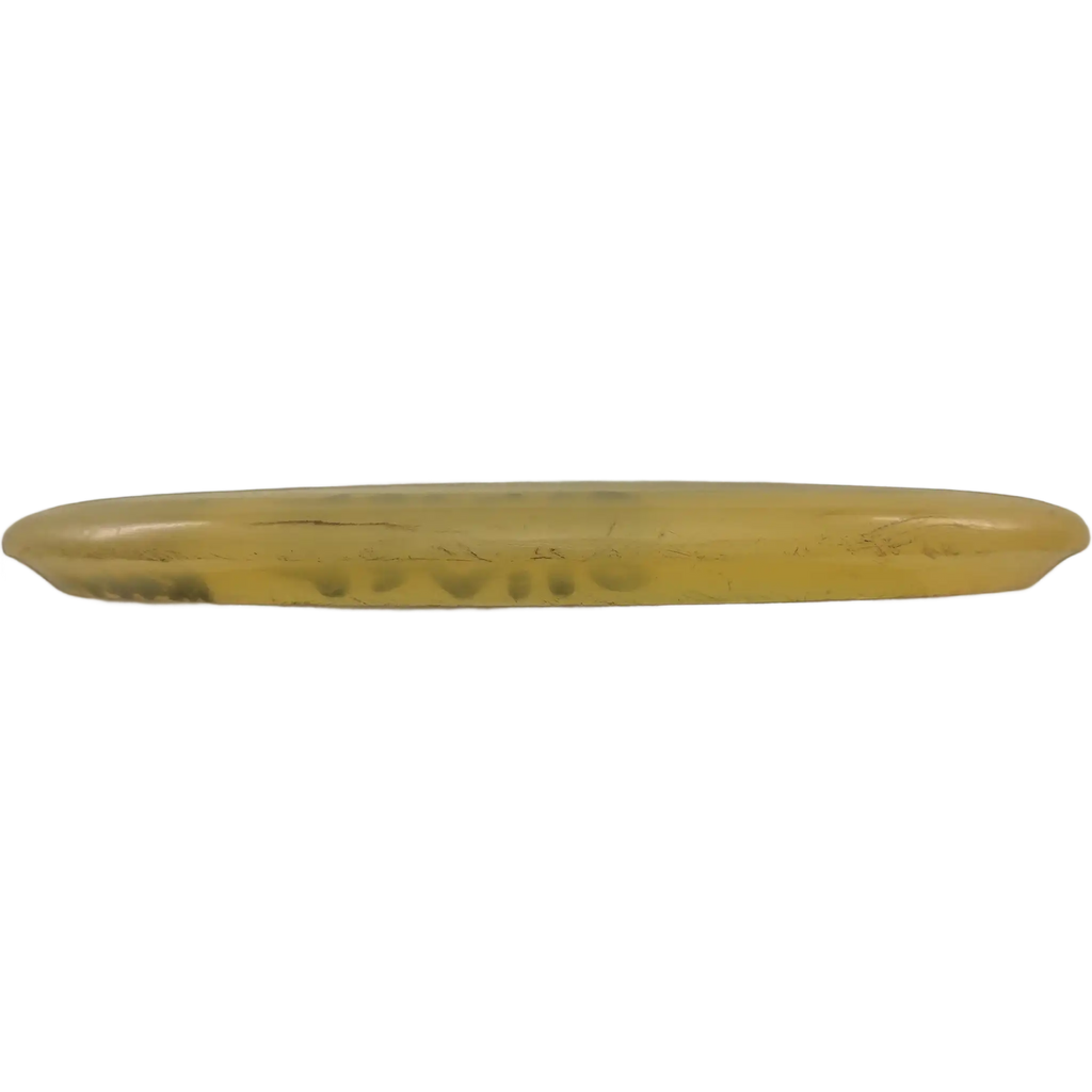 Steady Mango - Prototype