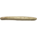 Active Maestro