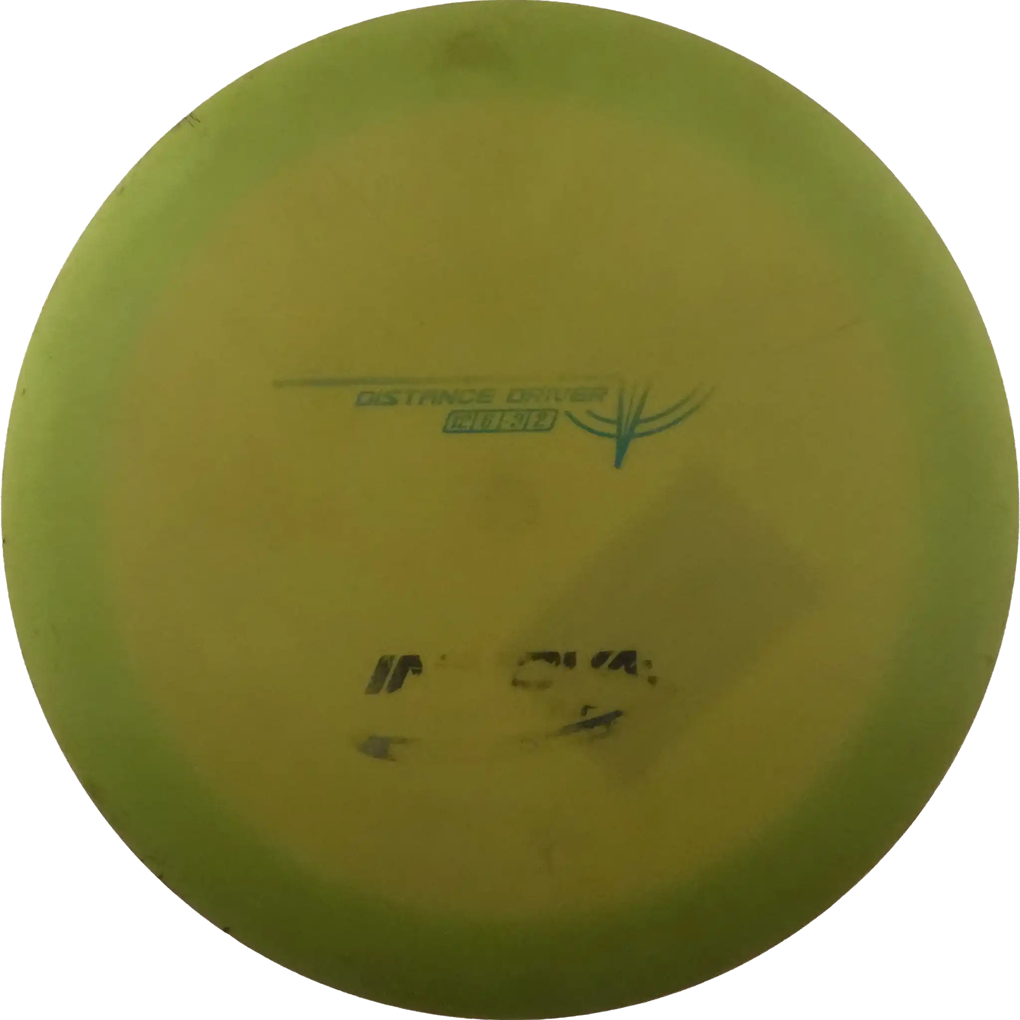 Star Tern